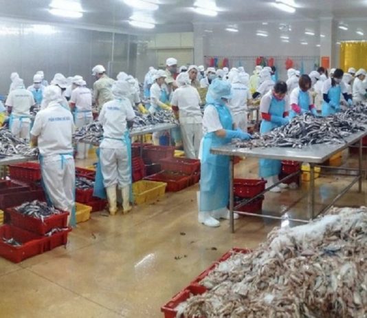 Xuất khẩu surimi của Việt Nam: Tiềm năng và thách thức