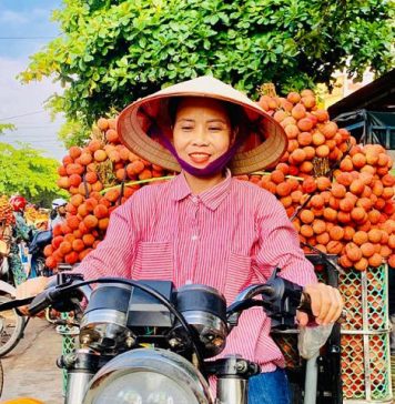 Mùa vải thiều năm 2024: Cung không đủ cầu, lập kỷ lục về giá