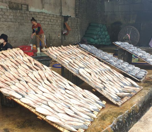 Cá nướng biển Quỳnh