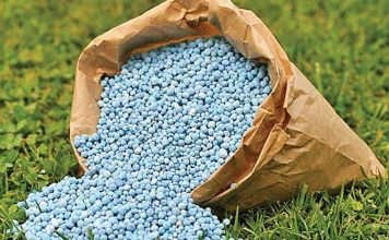 Xuất khẩu phân bón kỳ vọng bứt phá