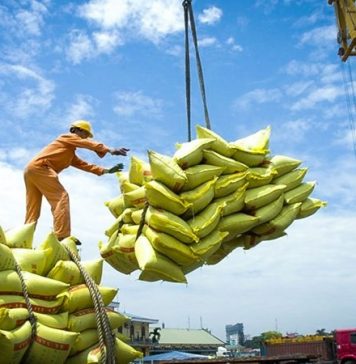 Cơ hội xuất khẩu gạo của Việt Nam từ nay đến cuối năm còn rất lớn