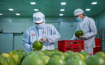 Nâng cao thương hiệu, uy tín nông sản Việt