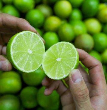 Liên kết trồng chanh không hạt xuất khẩu lãi hơn 400 triệu đồng/ha/năm