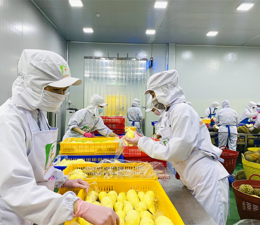 Sầu riêng đông lạnh sẽ góp mặt trong danh sách xuất khẩu tỷ USD trong năm 2025