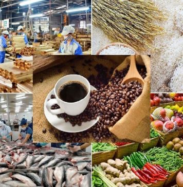 Xuất khẩu nông sản vượt qua thách thức, nhiều kỳ vọng đột phá mới