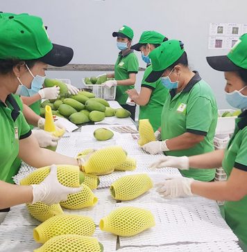 “Kỳ tích” xuất khẩu nông sản