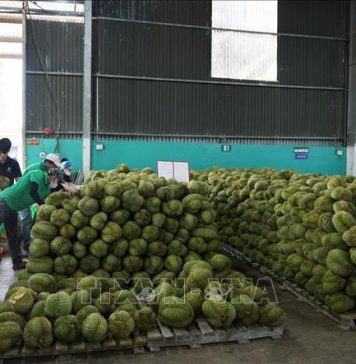 10 tháng, xuất siêu nông lâm thủy sản tăng trên 62%