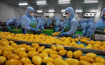 Nông sản Việt nhiều cơ hội thâm nhập thị trường Halal