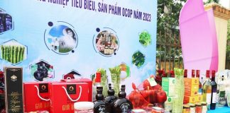 Bắc Ninh phê duyệt 98 sản phẩm tham gia Chương trình OCOP năm 2024