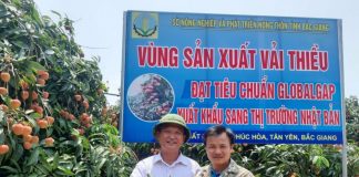 Xã Phúc Hòa (Tân Yên) chuyển mình cùng nông thôn mới kiểu mẫu