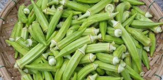 Tác dụng của đậu bắp đối với sức khỏe