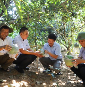 Mô hình mới là động lực giúp nông dân một huyện ở Hà Giang nâng cao thu nhập, giảm nghèo bền vững