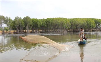 Mô hình rừng – thủy sản cho nông dân thu nhập bền vững