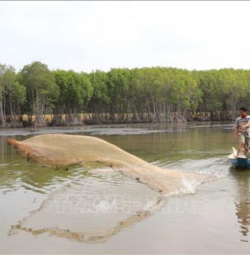 Mô hình rừng – thủy sản cho nông dân thu nhập bền vững