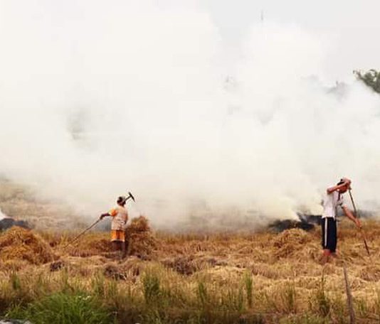 Khi nông dân biến sợi rơm thành sợi vàng