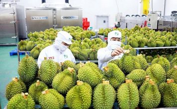 Thúc đẩy chuỗi cung ứng để rau quả Việt sớm cán mốc 7,2 tỷ USD