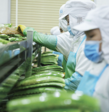 Xuất khẩu rau quả chế biến của Việt Nam thu về gần 1,1 tỷ USD