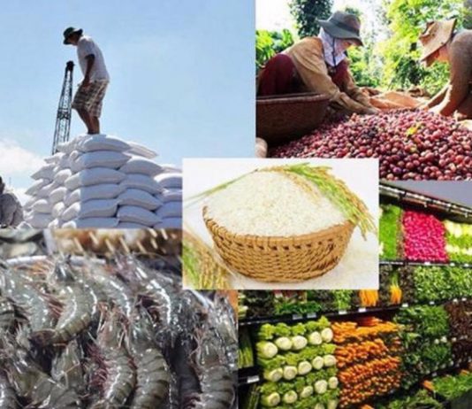 Đề xuất 4 chính sách phát triển nhãn hiệu, thương hiệu nông sản Việt Nam