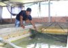 Phát huy nội lực của đồng bào dân tộc thiểu số trong phát triển kinh tế