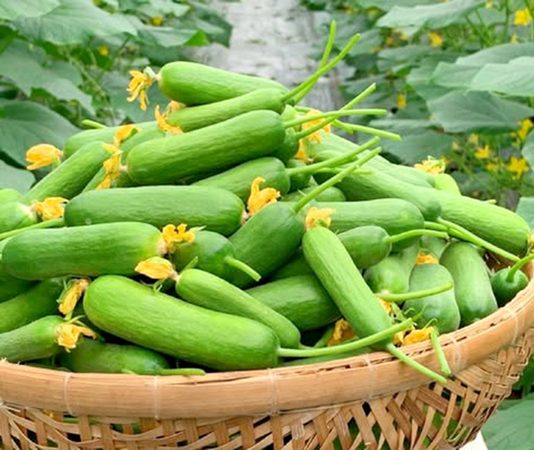 Rau quả Việt Nam có cơ hội ở Thụy Điển nhờ khác biệt mùa vụ