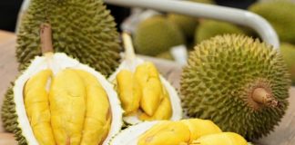 ATTP cảnh báo sầu riêng Việt không tuân thủ tồn dư thuốc bảo vệ thực vật