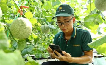 Tăng cường ươm tạo công nghệ, ứng dụng khoa học vào sản xuất và đời sống