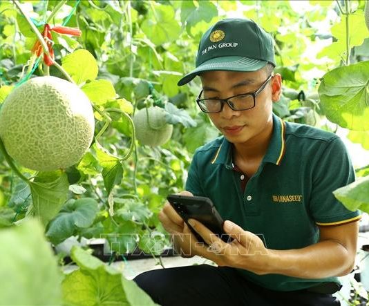 Tăng cường ươm tạo công nghệ, ứng dụng khoa học vào sản xuất và đời sống