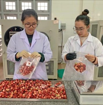 ‘Biến hóa’, nâng tầm giá trị nông sản Đà Lạt