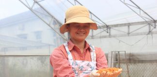 Tinh hoa muối tôm Tây Ninh