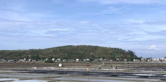 Vẻ đẹp của đồng muối Sa Huỳnh