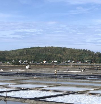 Vẻ đẹp của đồng muối Sa Huỳnh