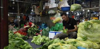 Hoạt động tiêu dùng đã trở lại bình thường, sức mua chủ yếu vào đồ tươi sống