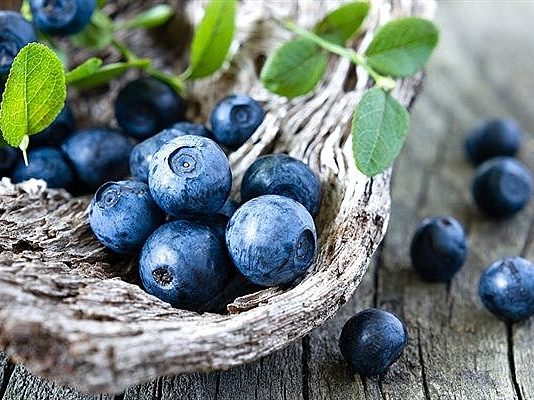 5 loại trái cây giúp thanh lọc phổi