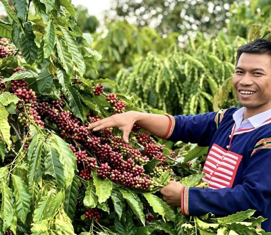 Chàng trai hiện thực ước mơ nâng tầm giá trị nông sản cho đồng bào Gia Rai