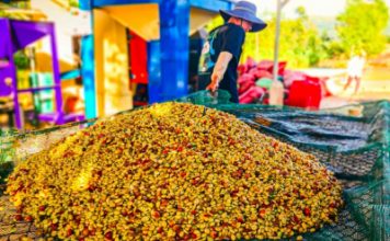 Nông trại Núi Lu – Làm nông nghiệp “lười” để phát triển bền vững