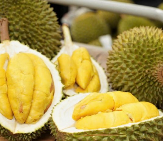 ATTP cảnh báo sầu riêng Việt không tuân thủ tồn dư thuốc bảo vệ thực vật