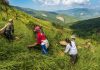 Nông nghiệp sinh thái: Hướng đi bền vững cho tương lai