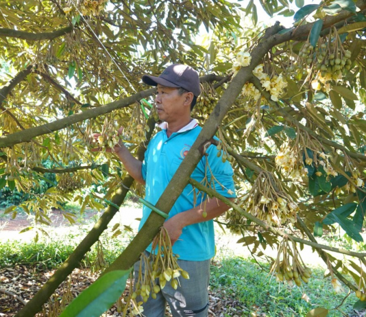 Trang trại kiểu mẫu của anh Hoàng Văn Tuấn trên vùng đất lịch sử