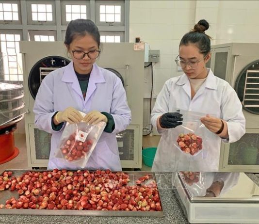 ‘Biến hóa’, nâng tầm giá trị nông sản Đà Lạt