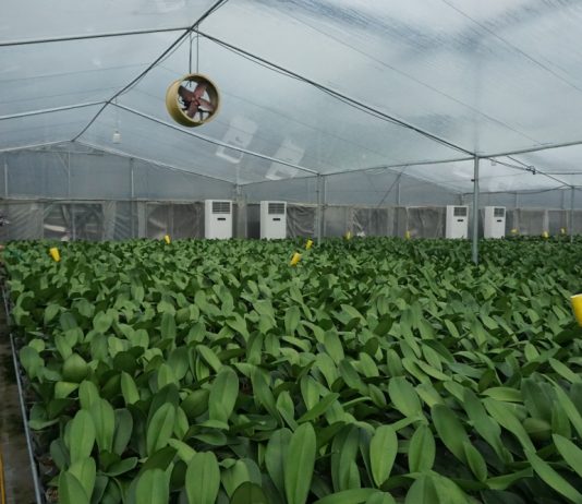 Những nông dân dám nghĩ, dám làm