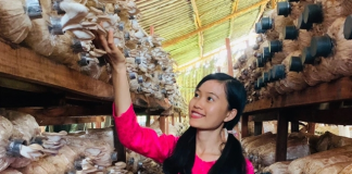 Từ phụ phẩm thành tiền tỷ: Doanh nghiệp nhỏ làm chủ cuộc chơi nông nghiệp tuần hoàn