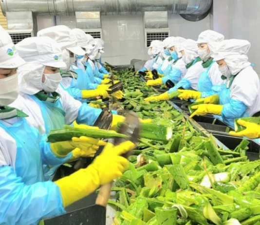 Chỉ chế biến sâu mới thực sự phát huy hết giá trị nông sản