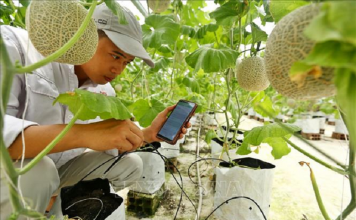 Chuyển đổi số có đang đè nặng doanh nghiệp nhỏ?