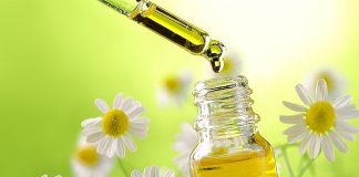 Cúc la mã – Dược liệu cổ xưa đa công dụng