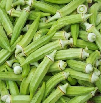 Đậu bắp – “nhân sâm xanh” cho cơ thể khỏe mạnh và dẻo dai