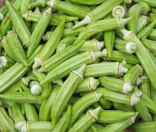 Đậu bắp – “nhân sâm xanh” cho cơ thể khỏe mạnh và dẻo dai