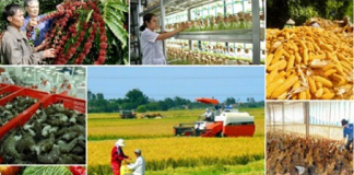 Đề xuất sửa quy định về chính sách tín dụng phục vụ phát triển nông nghiệp, nông thôn