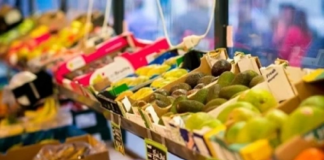 EU – Thị trường khó tính nhưng đáng để dấn thân