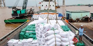 Người trồng lúa khấn khởi khi giá gạo xuất khẩu tăng trở lại