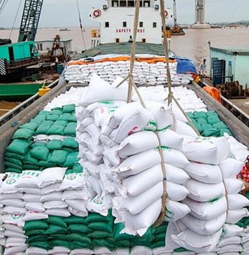 Người trồng lúa khấn khởi khi giá gạo xuất khẩu tăng trở lại